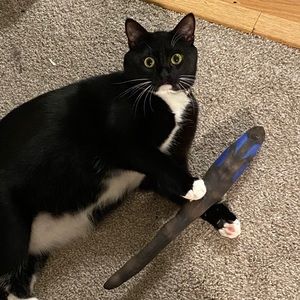 Meet your Posher, Leah